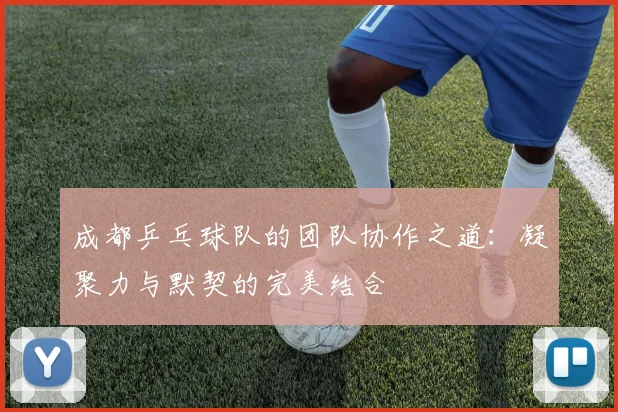 成都乒乓球队的团队协作之道：凝聚力与默契的完美结合