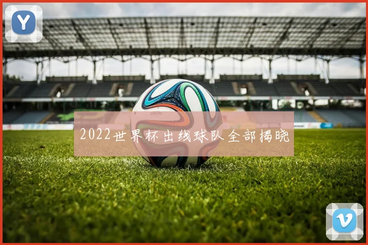 2022世界杯出线球队全部揭晓